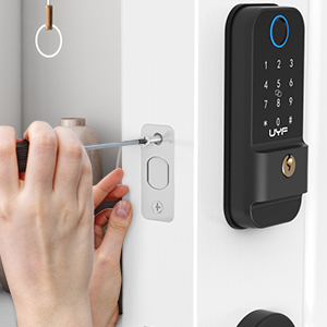 electronic smart locks